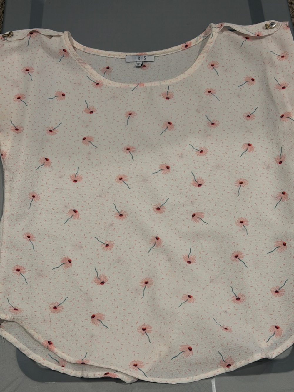 iris Cream Short Sleeve Blouse with Pink Floral Sprigs